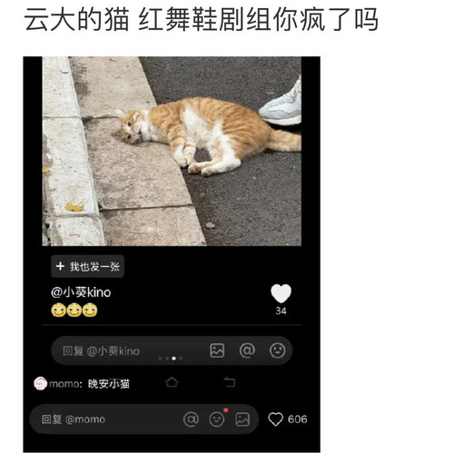 3914B13A CA9C 4DFB B7B5 DB04CD1E012C.jpg