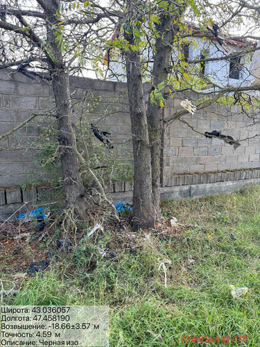 photo 20 2025 10 23 04 40 06.jpg