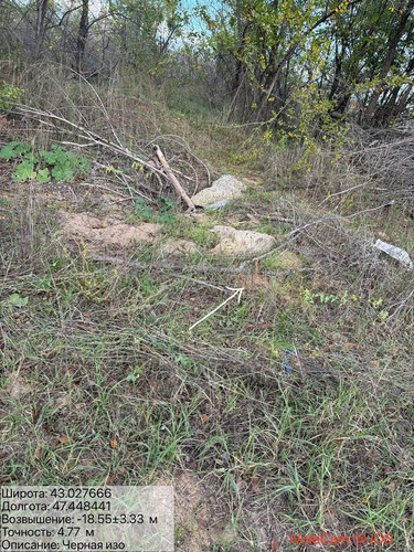 photo 2025 10 23 04 39 53.jpg