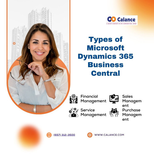 Types of Microsoft Dynamics 365 Business Central.jpg