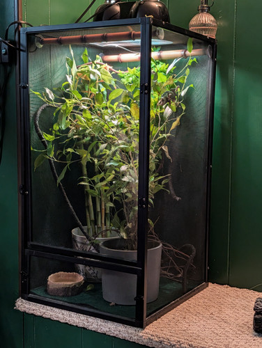 PXL 20251020 140958910