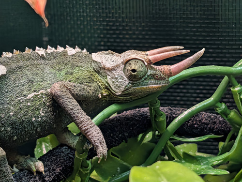 PXL 20251022 131113635