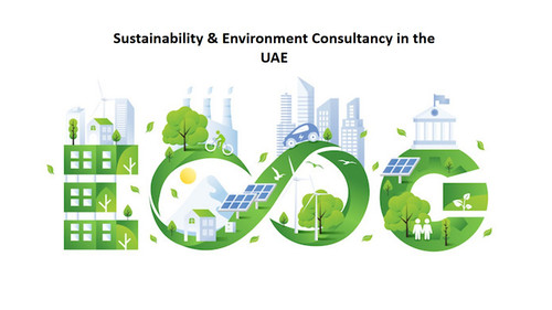 Sustainability business consultants in UAE.jpg