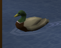 RuneLite scZgKnTkiV.png