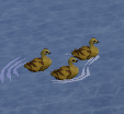 RuneLite 8MrweEC6s5.png