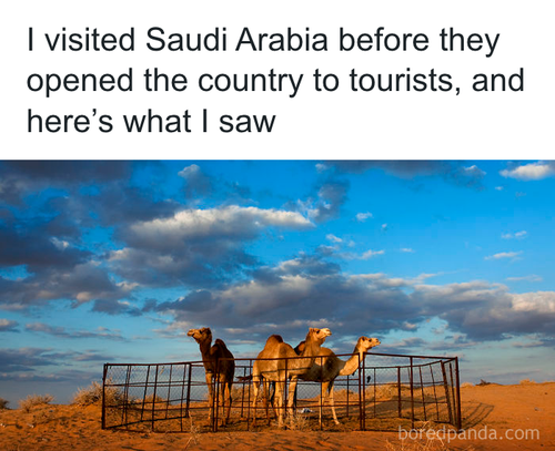 download 2025 10 22T194831.398.png