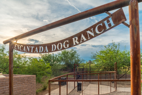 SteamPumpDogRanch 003.jpg