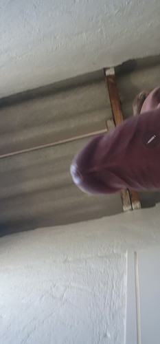 Screenshot 20251010 214736 Gallery.jpg