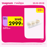 Magnum 1620x1620 1 tov 2025 10 22T091832.916