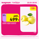 Magnum 1620x1620 1 tov 2025 10 22T091841.470