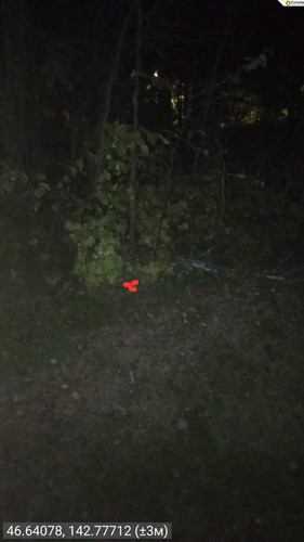 image.jpg