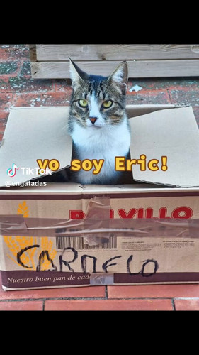 xrdiMCx8fOBAS9uo.jpg