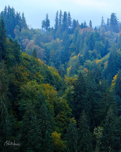 G350MguWAAAET58.jpg