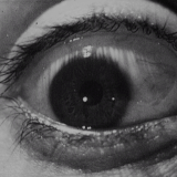 4ezgif.com resize (33).gif