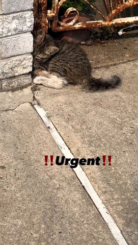 Mn 1eKJI0XjaC9Nl.jpg