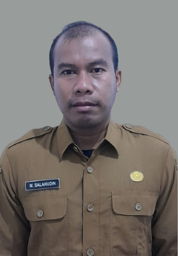 M. SALAHUDIN.png