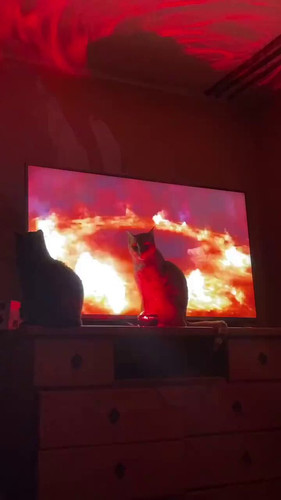 PyWrtWzEVmbBOQcX.jpg