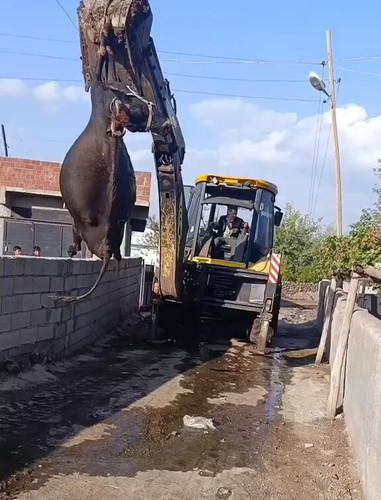 PEsTPzQE HakKZh5.1