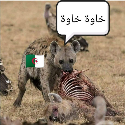 G33BJLOWMAAQrA8.jpg