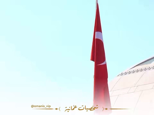 ULq8ufz 7YomIDp7.jpg