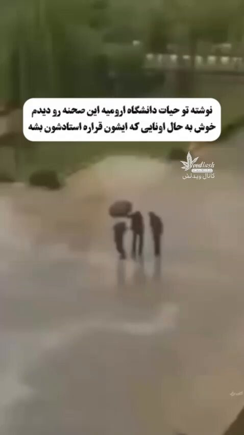 8oCVTAEfq3daQ7fi.jpg