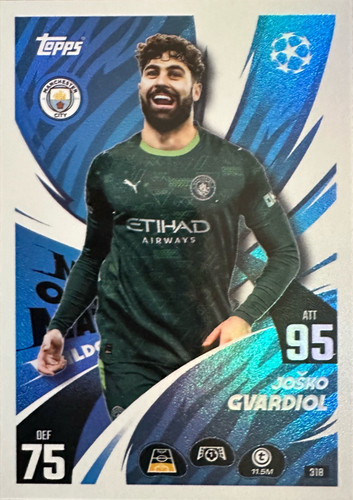 Match attax 2025 26 318.jpg