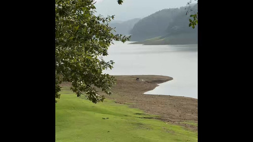mXW0cle174lcPKSH.jpg