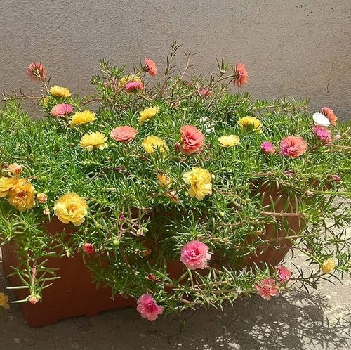 918LDoaiWeS. AC UF1000,1000 QL80.jpg