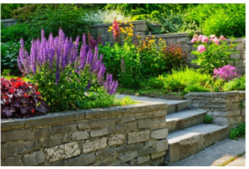 Landscape Designers Lake Worth Beach.png