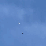 1000119741.gif