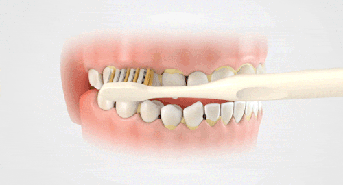 phpEJlKsh.gif