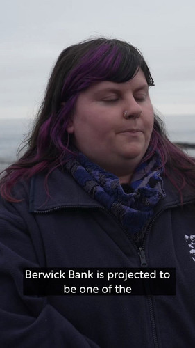 XqNbzL3LeC peQGq.jpg
