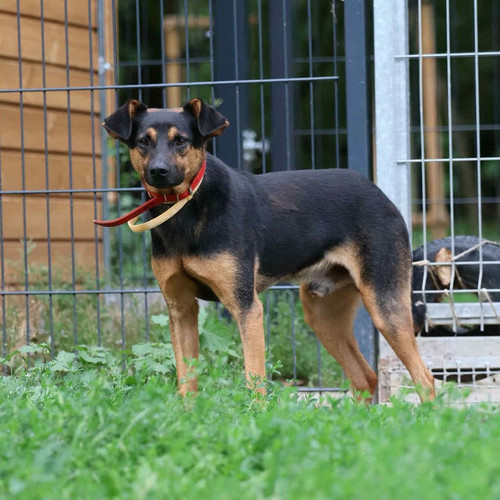 G34NlwhXEAAtKkd.jpg