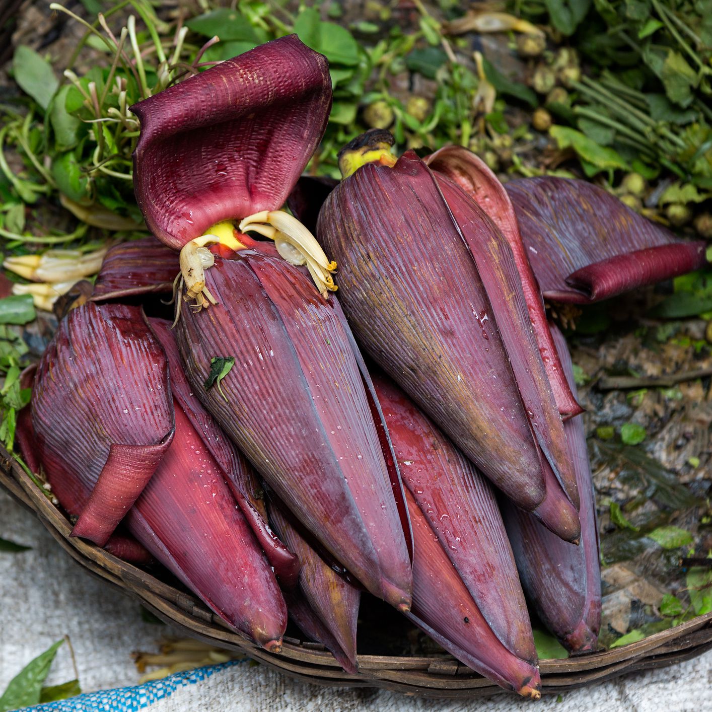Banana Flower (വാഴപ്പൂവ്)