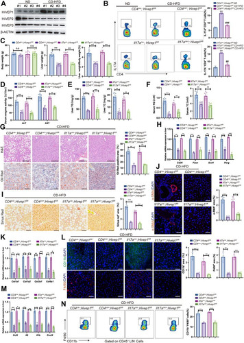 G36RS8QWMAAMGZg.jpg