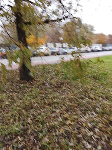 1000006141.jpg