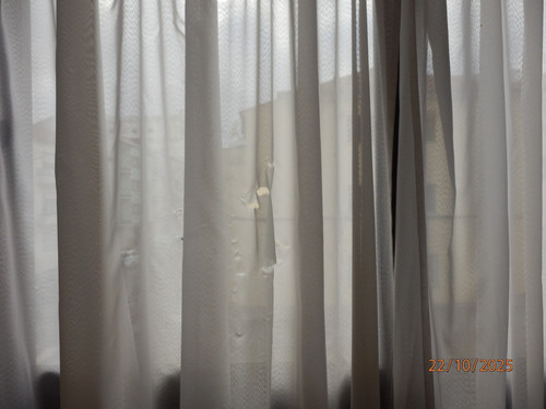 OLYMPUS DIGITAL CAMERA.jpg
