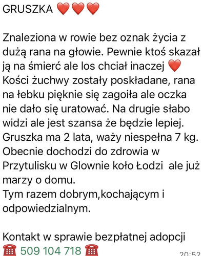 G3uf8m3XUAAZODF.jpg