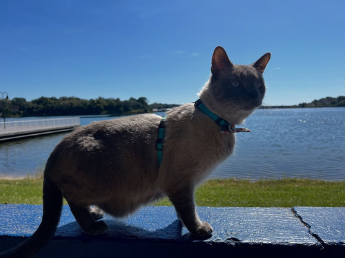 564243949 17993857460841761 4507830694109237687 n.jpg