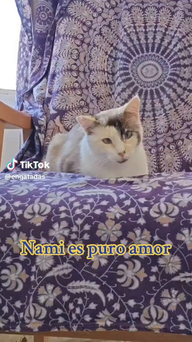 qXh1cagsfVz9QEni.jpg