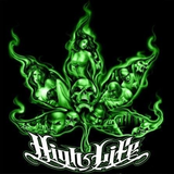 Screenshot 2025 09 30 at 20 37 04 420 high life green.jpg (JPEG Image 449 × 445 pixels).png
