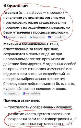 taJFuCIX4k9pmzqpLROLz82rUH4pNH56uBDBcIqoDmpU6fWUlZOJFOtv8rhXI6WCNExtm1jiF28m6FZdId0fdEsLo5NEjlbH9bmq.jpg