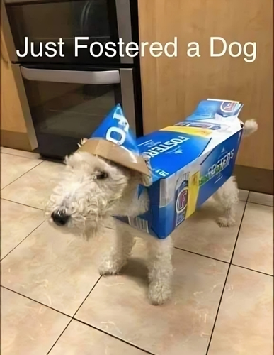 559587419 1219958410172269 6205836550176105889 n.png