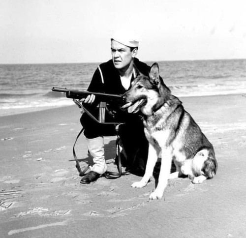GvEsZI2boAA50Lm.jpg
