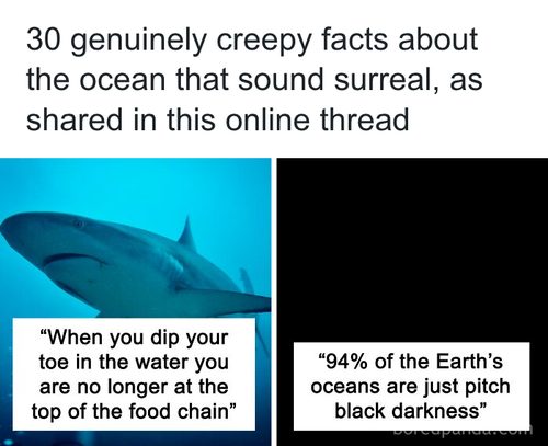 download 2025 10 23T172330.948.png