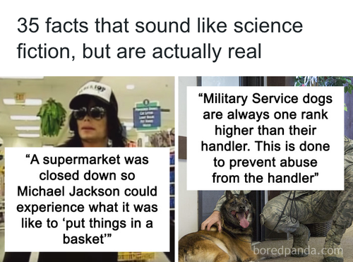 download 2025 10 23T171548.652.png