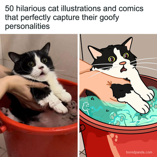 funny cat art drewanimal.jpg