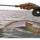 Ultimate Guide To The Fly Fishing Must Haves