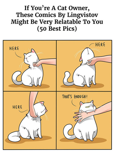 the best of funny cat.jpg