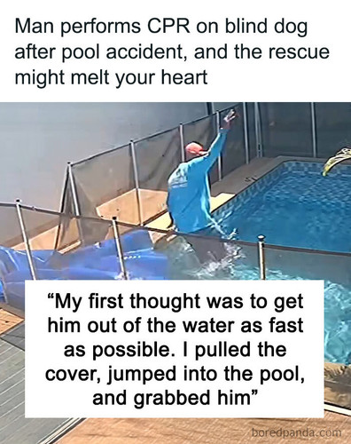 pool attendant saves blind dog from drowning vinicius orlando.jpg